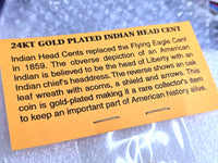 24k Gold Plated 1899 Indian Head Cent