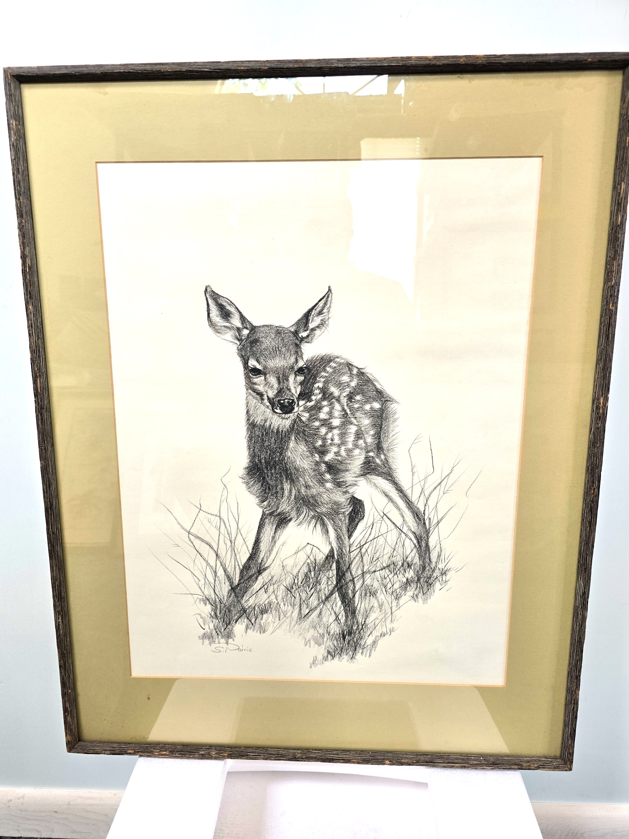 Fawn Artist Sketch Signed in Pencil