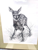 Fawn Artist Sketch Signed in Pencil