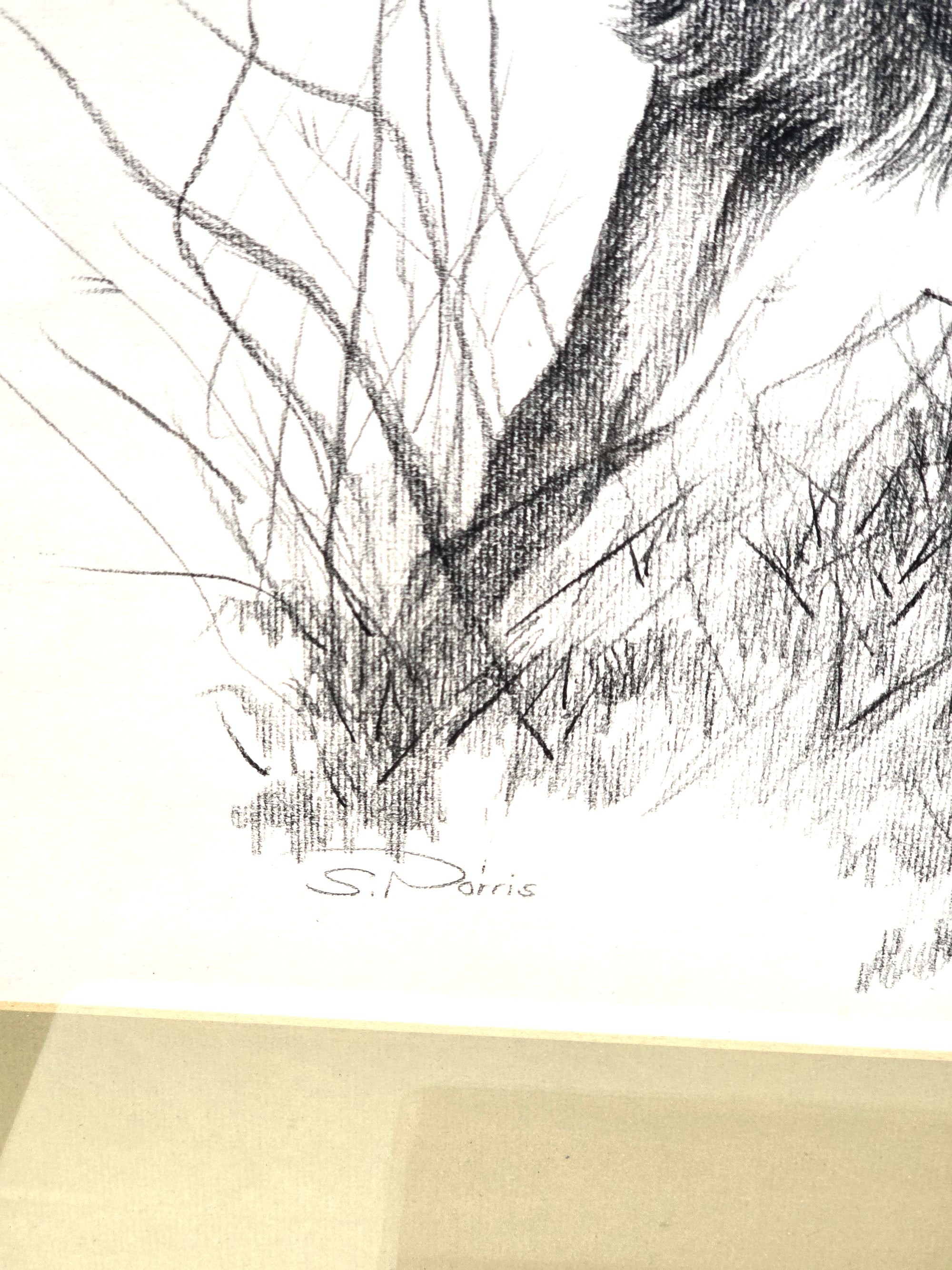 Fawn Artist Sketch Signed in Pencil