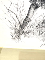 Fawn Artist Sketch Signed in Pencil