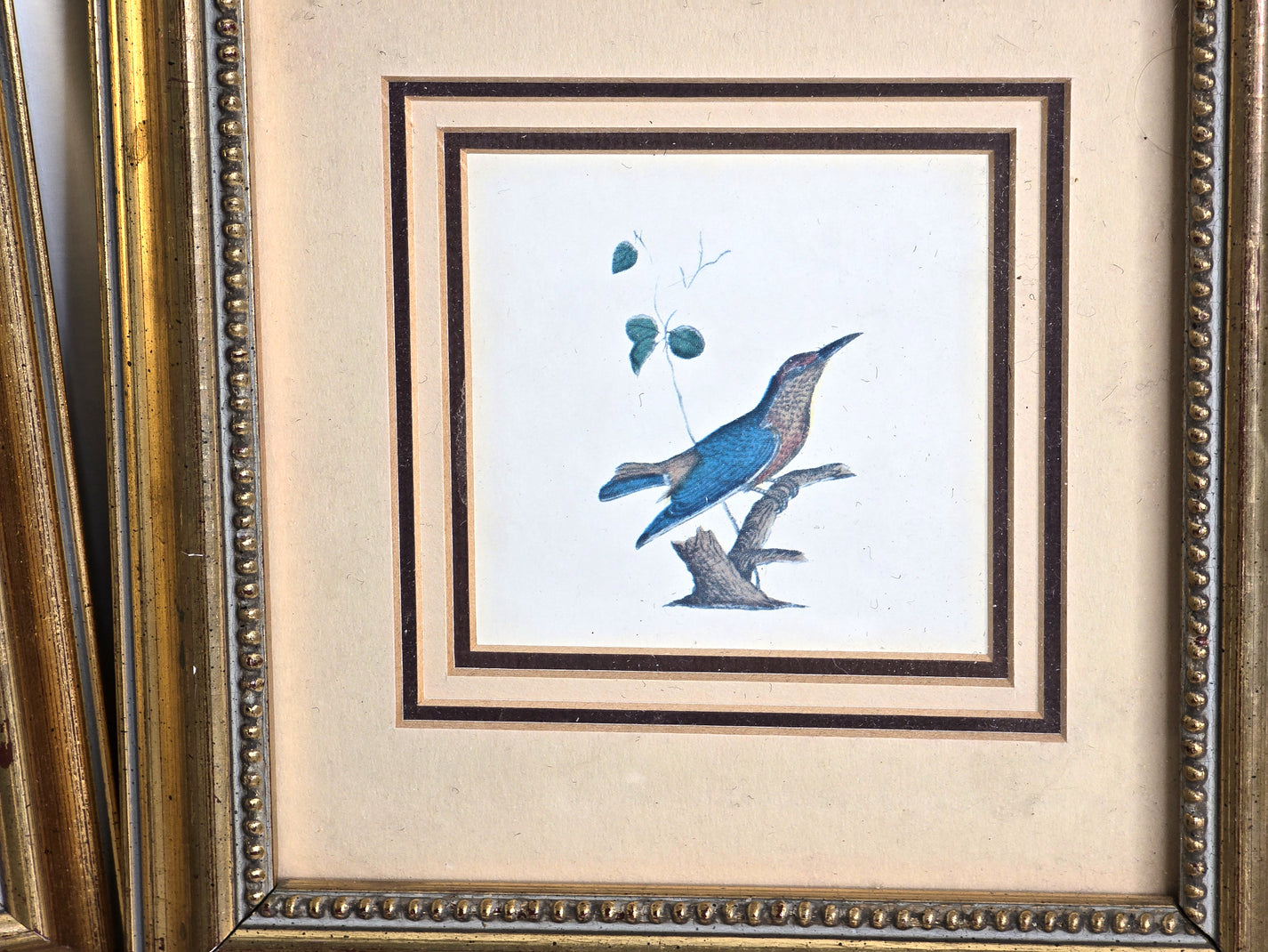 Vintage Wall Art Birds Framed Home Decor
