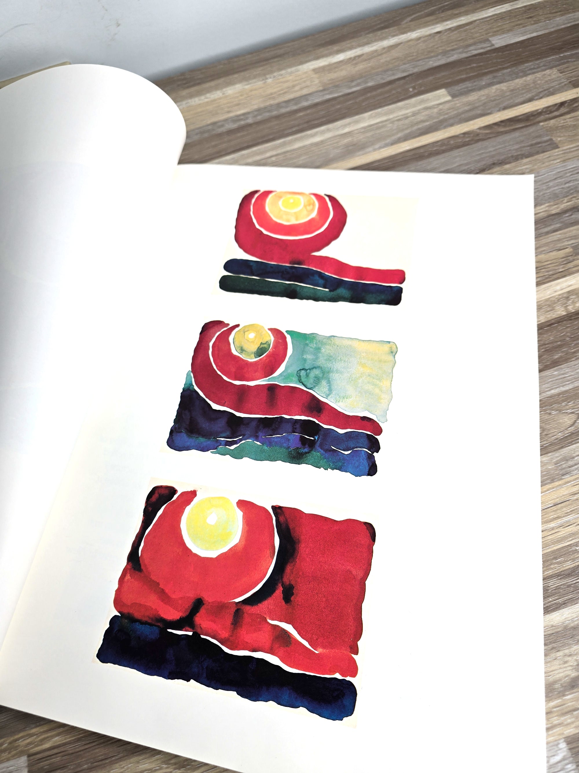 1970s First Edition Georgia O'Keeffe Artist Author Book