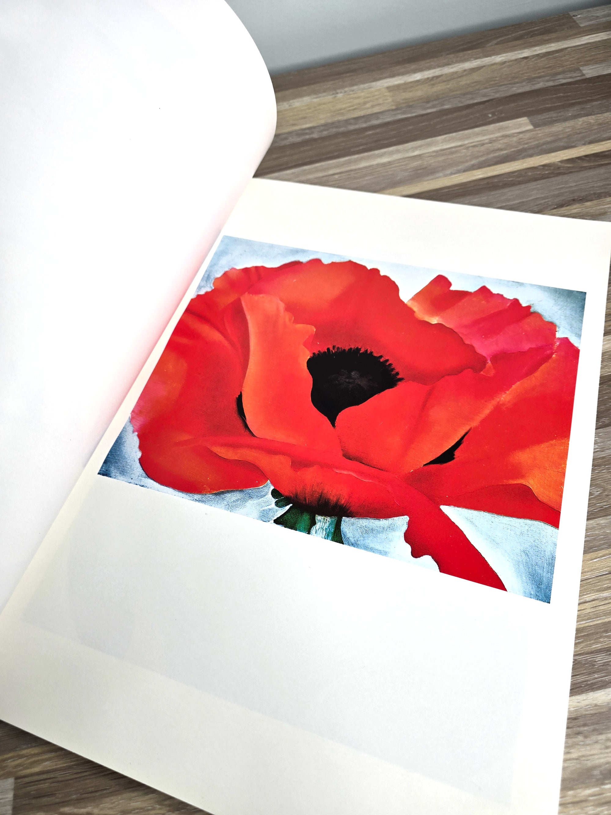 1970s First Edition Georgia O'Keeffe Artist Author Book