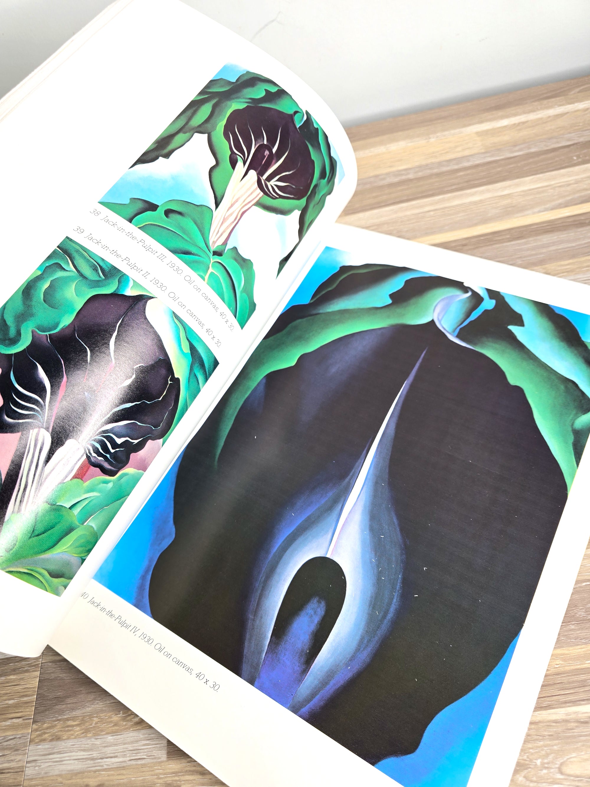 1970s First Edition Georgia O'Keeffe Artist Author Book