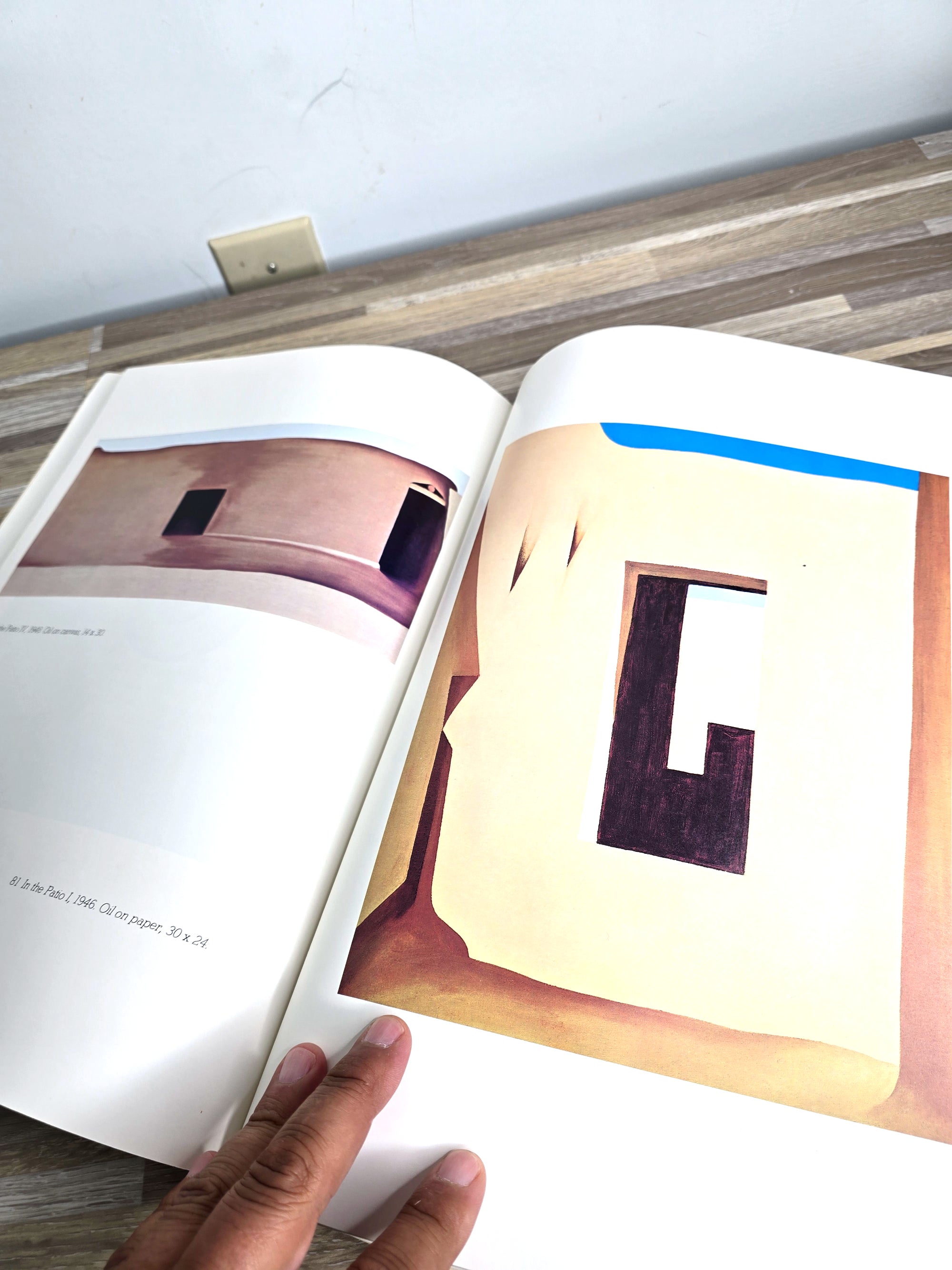 1970s First Edition Georgia O'Keeffe Artist Author Book