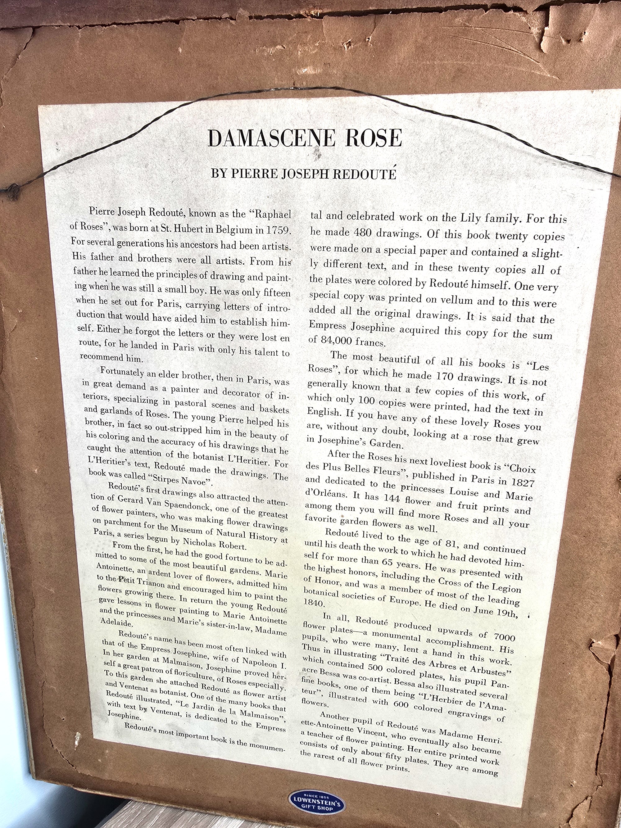 Pierre Joseph Redoute Art Damascene Rose - Very Rare Print