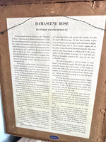 Pierre Joseph Redoute Art Damascene Rose - Very Rare Print