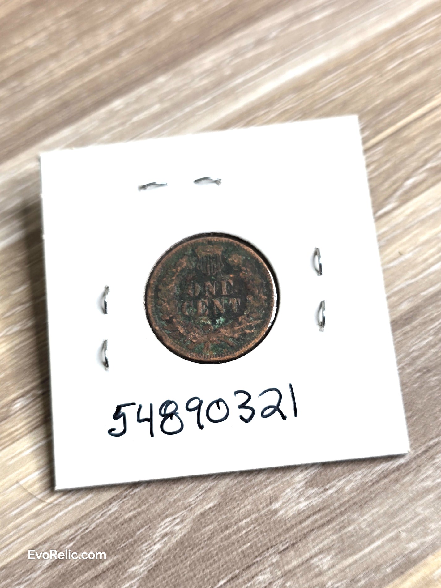 1900 Indian Head Penny