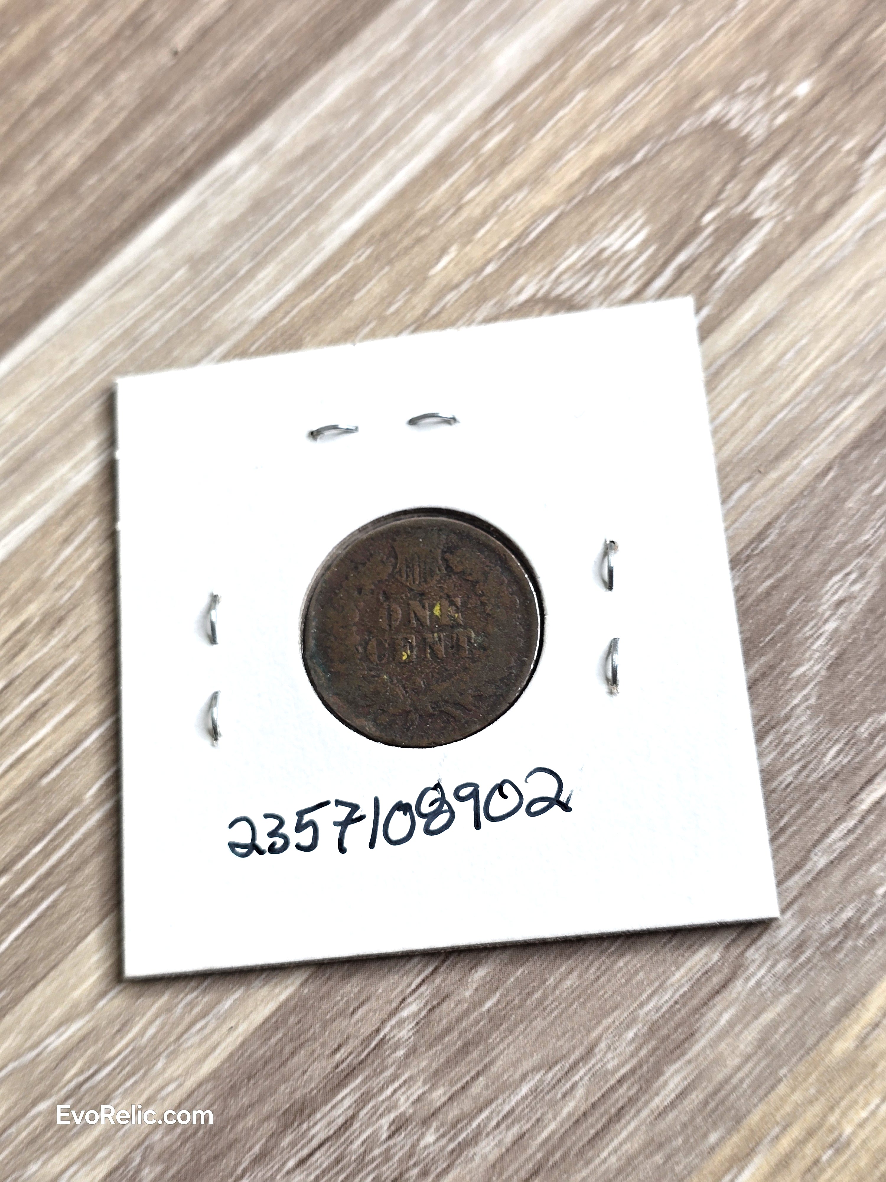 1899 Indian Head Cent Coin