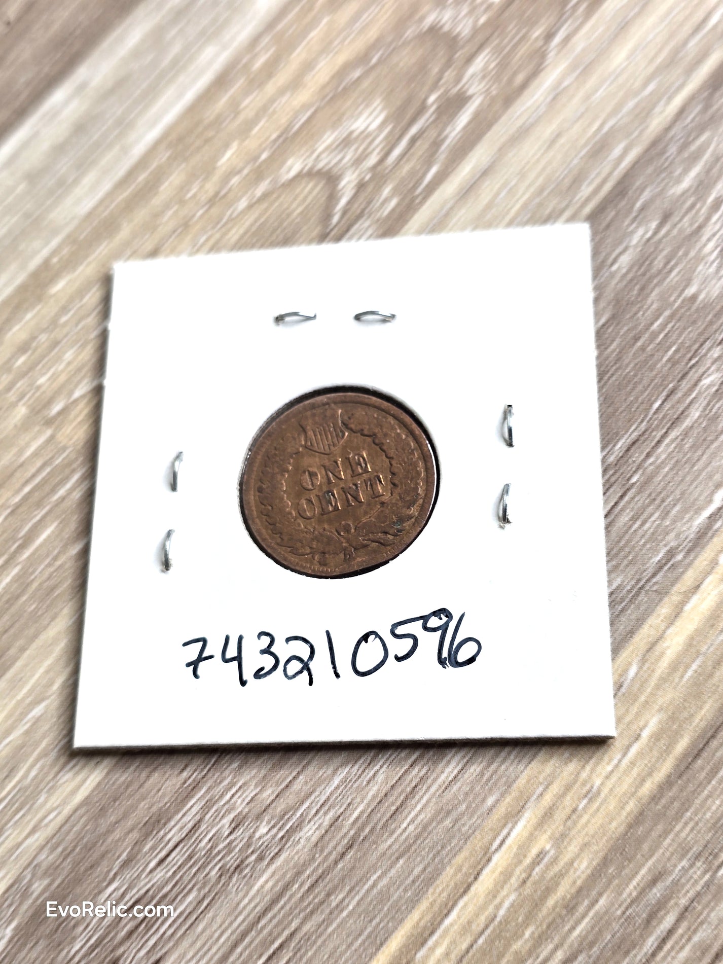1902 Indian Head Cent Coin