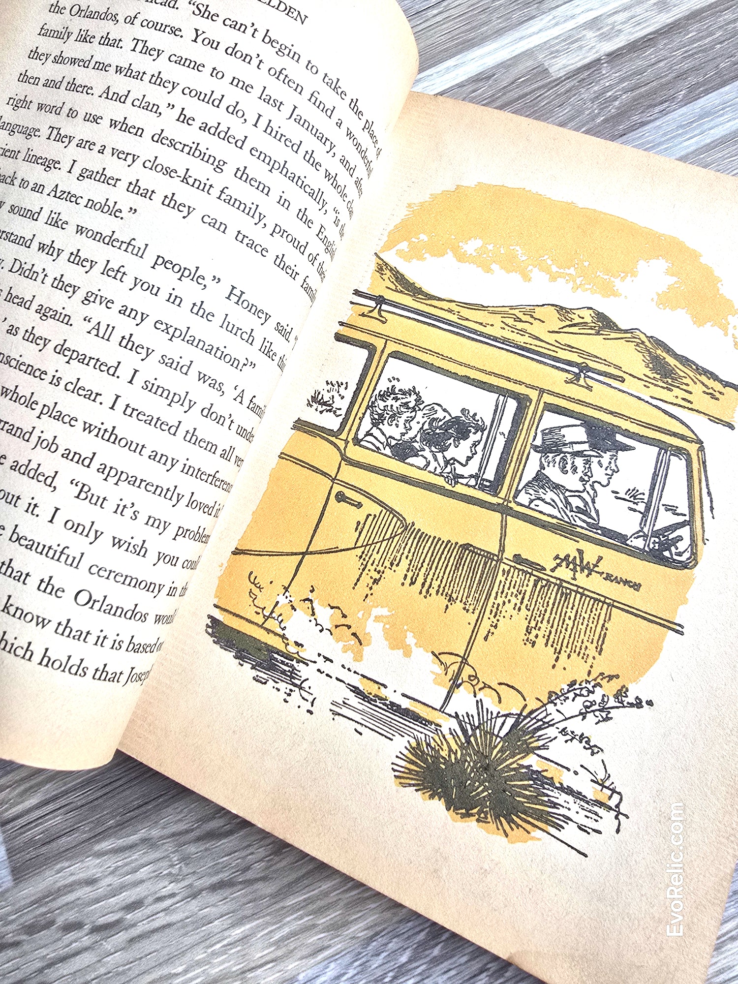 Vintage Trixie Belden and Mystery in Arizona Book No 6