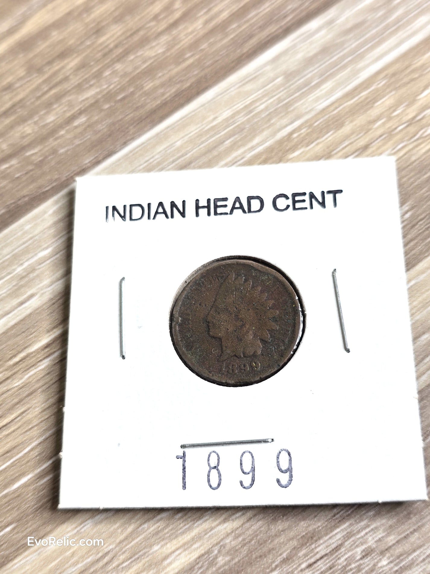 1899 Indian Head Cent Coin