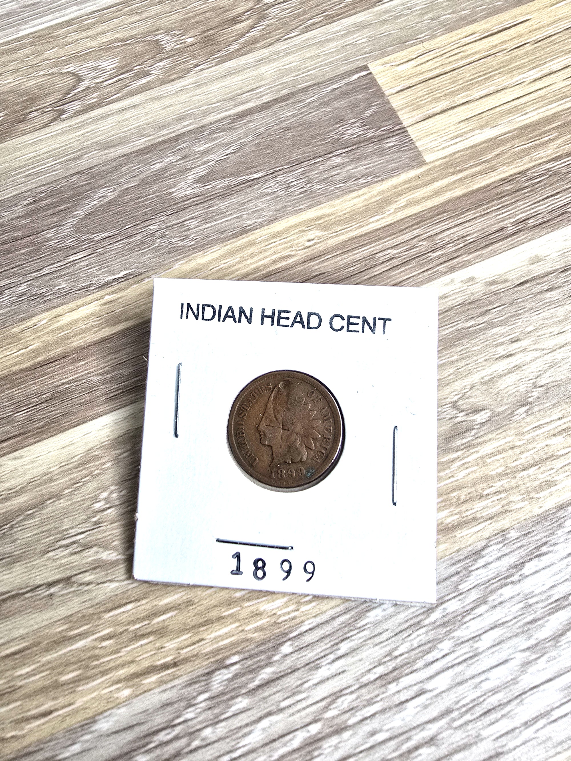 1899 Indian Head Cent Collectible