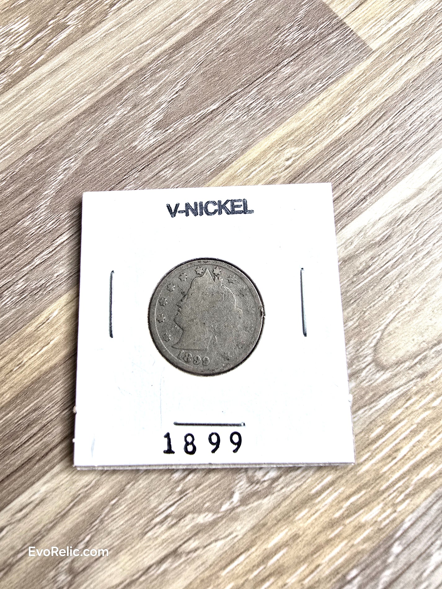 1899 Liberty Head V- Nickel