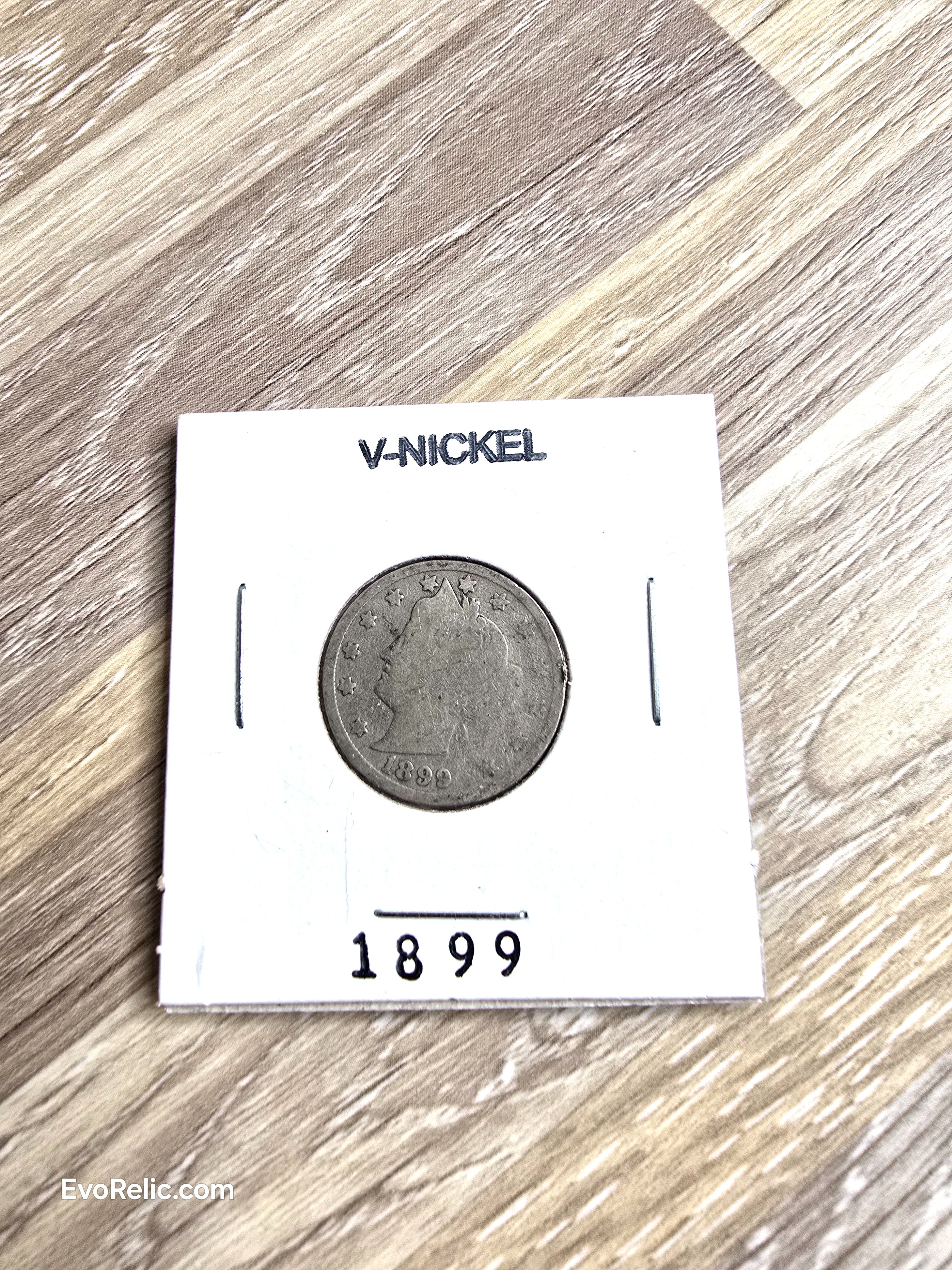 1899 Liberty Head V- Nickel