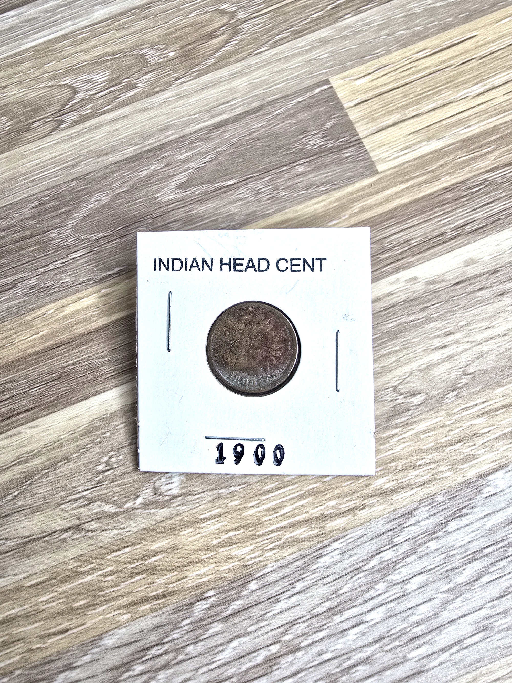 1900 Indian Head Cent Collectible