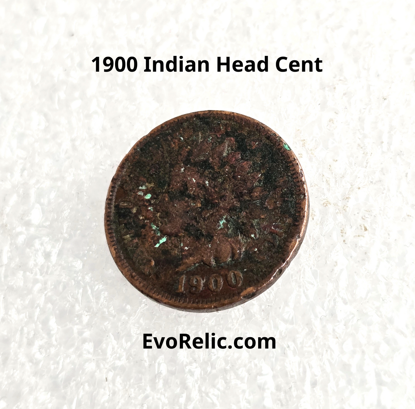 1900 Indian Head Cent