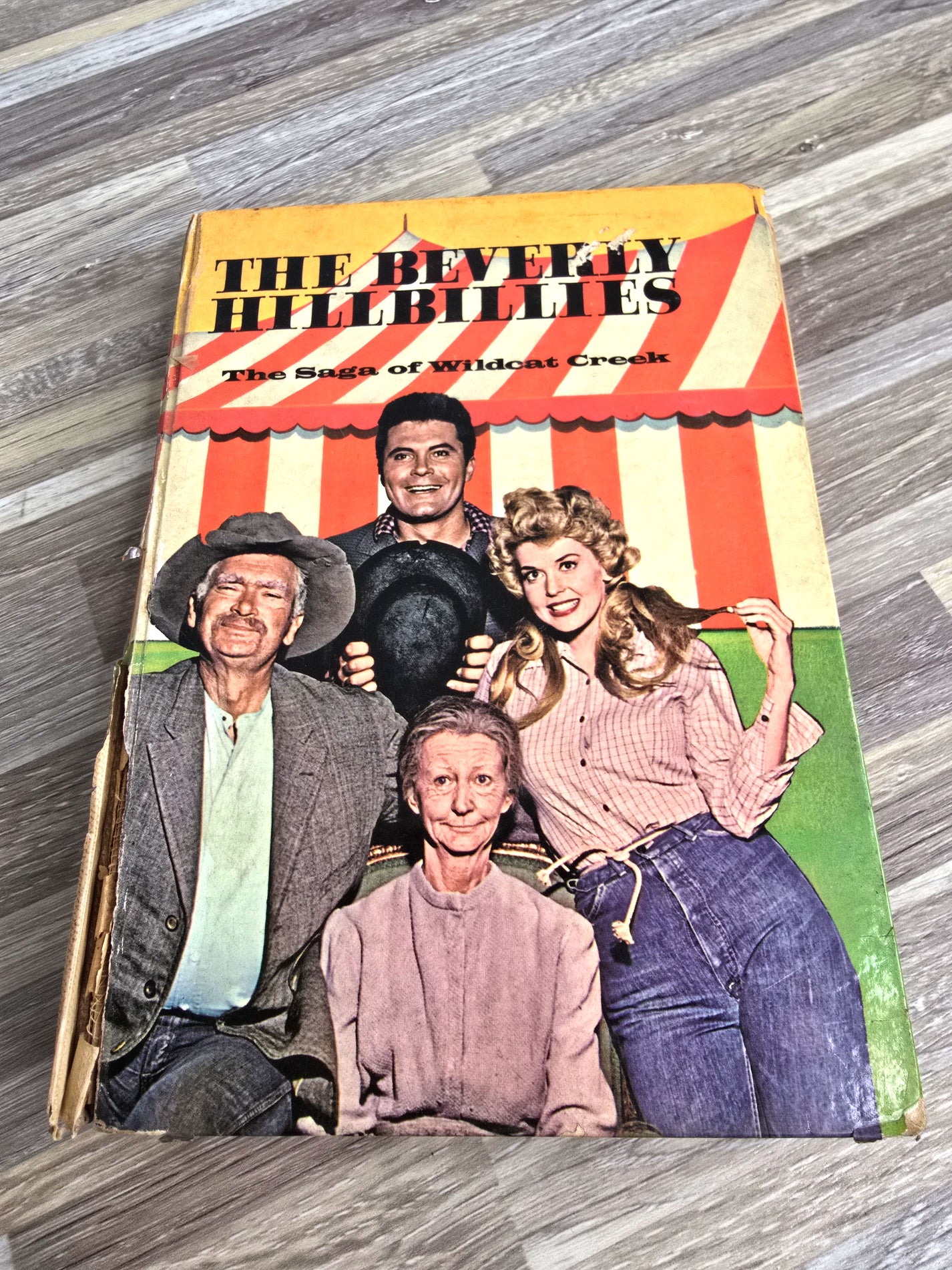 1963 The Beverly Hillbillies Book
