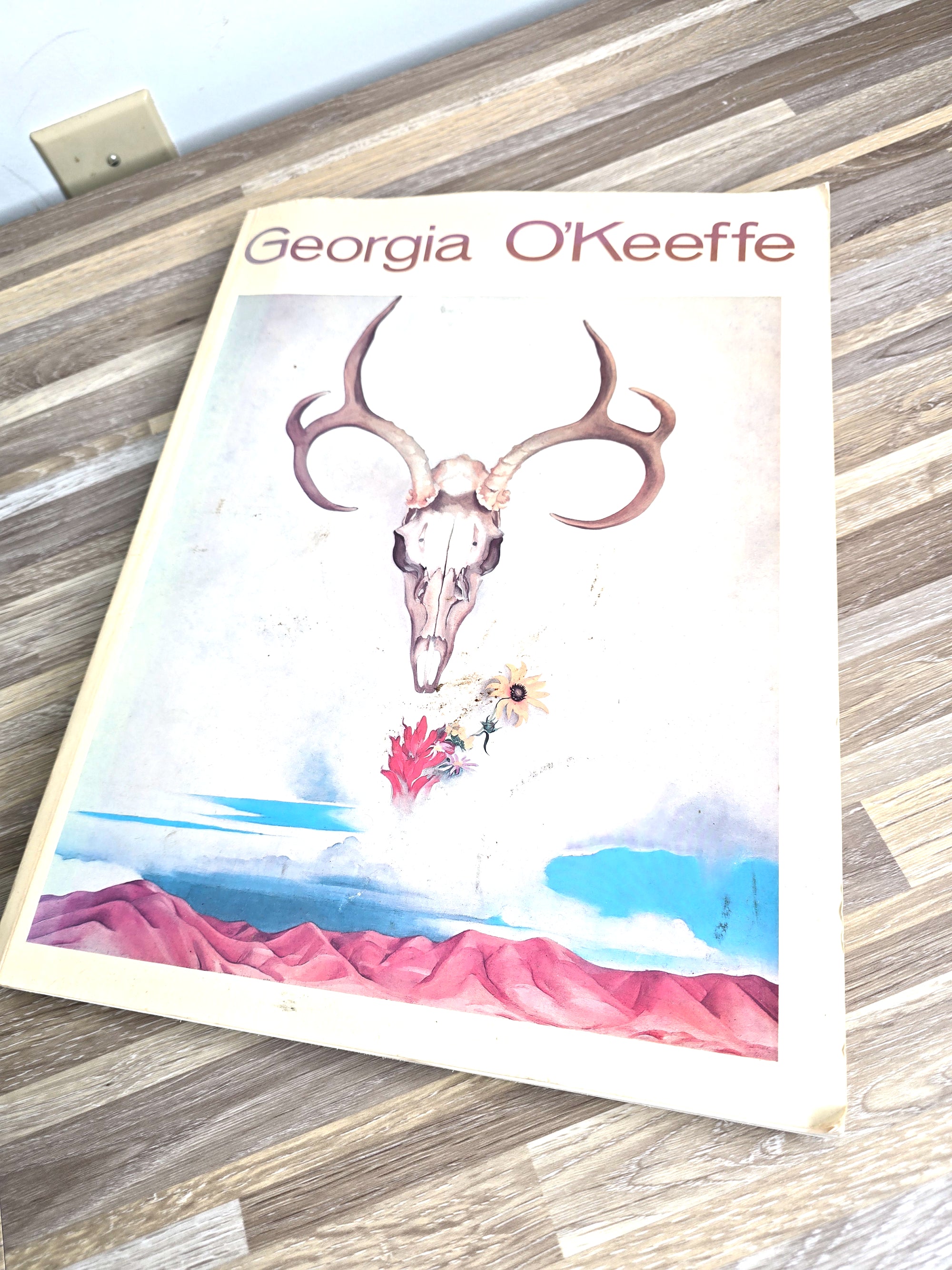 1970s First Edition Georgia O'Keeffe Artist Author Book