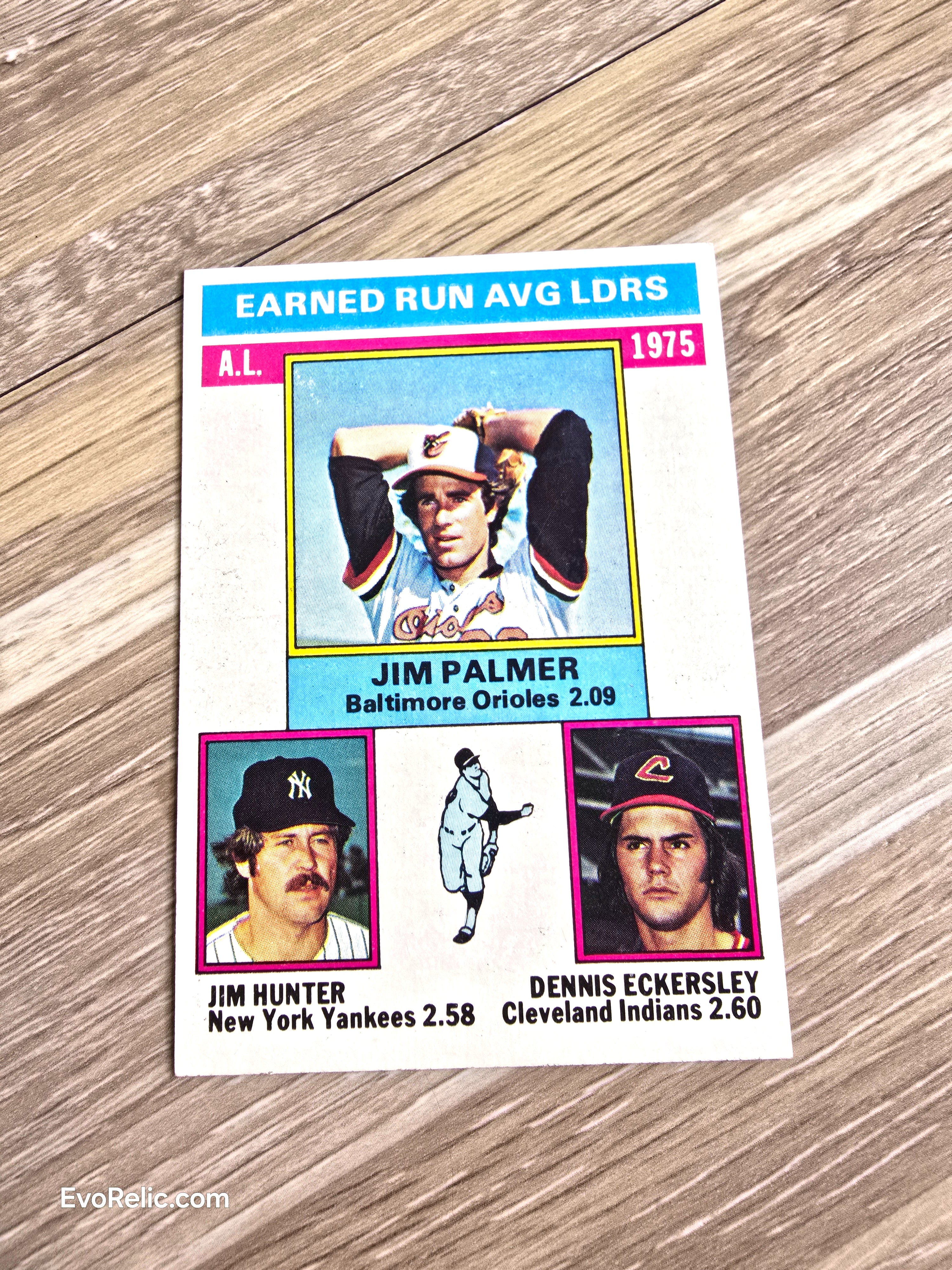 1976 Topps Earned Run Leaders No 202
