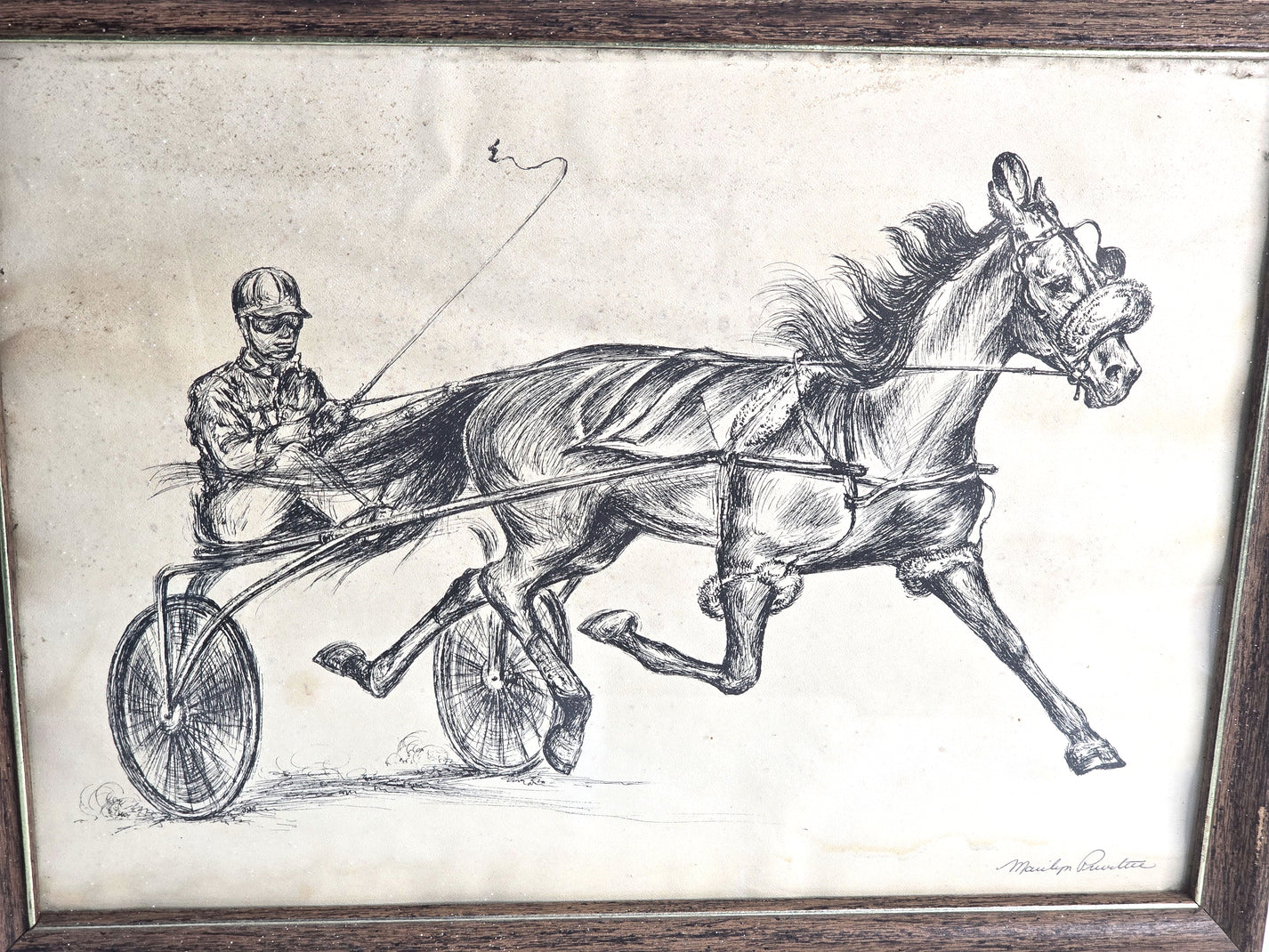 Art Horse Buggy Trotter Sketch Signed by Marilyn Privitere
