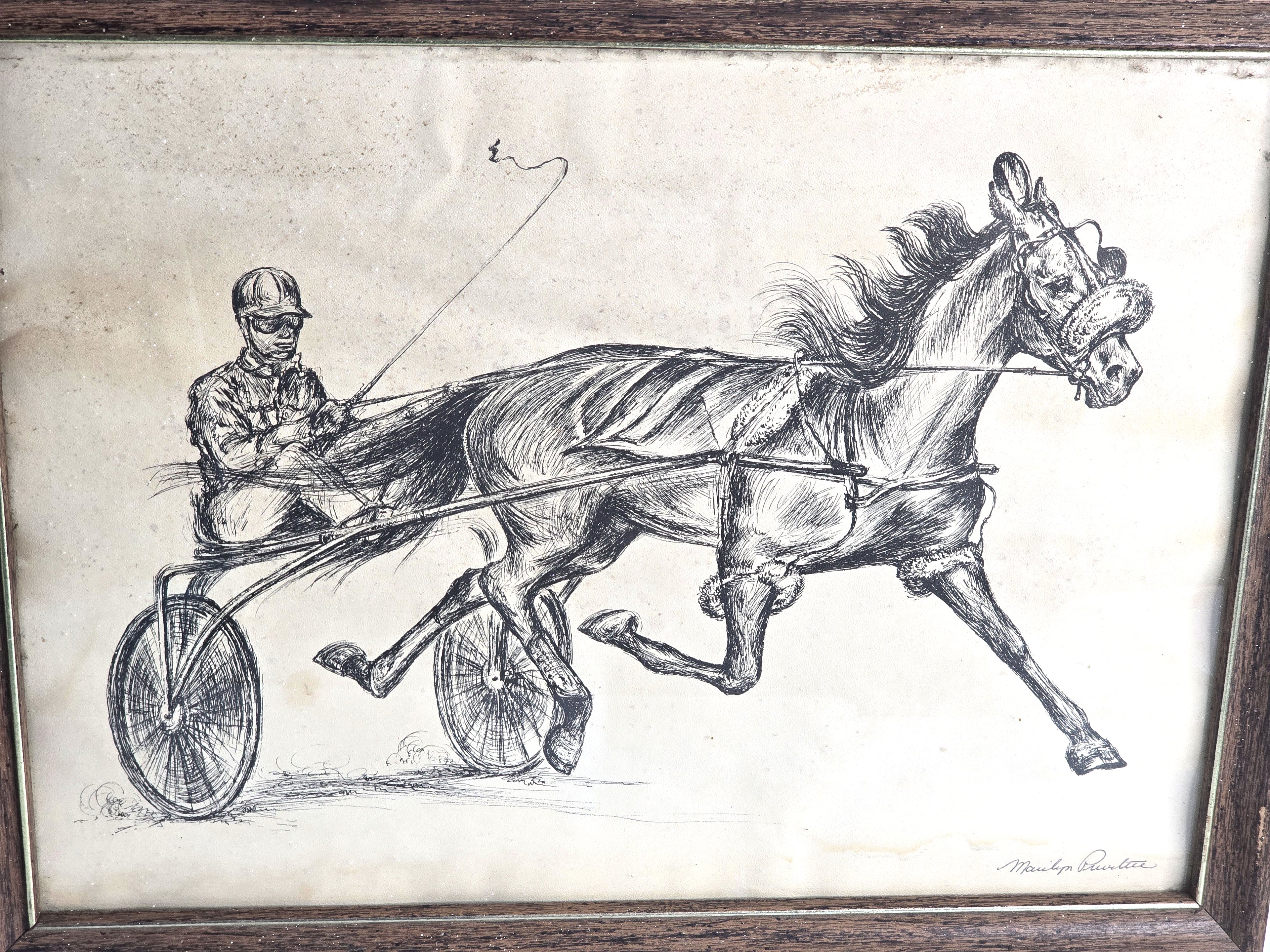 Art Horse Buggy Trotter Sketch Signed by Marilyn Privitere