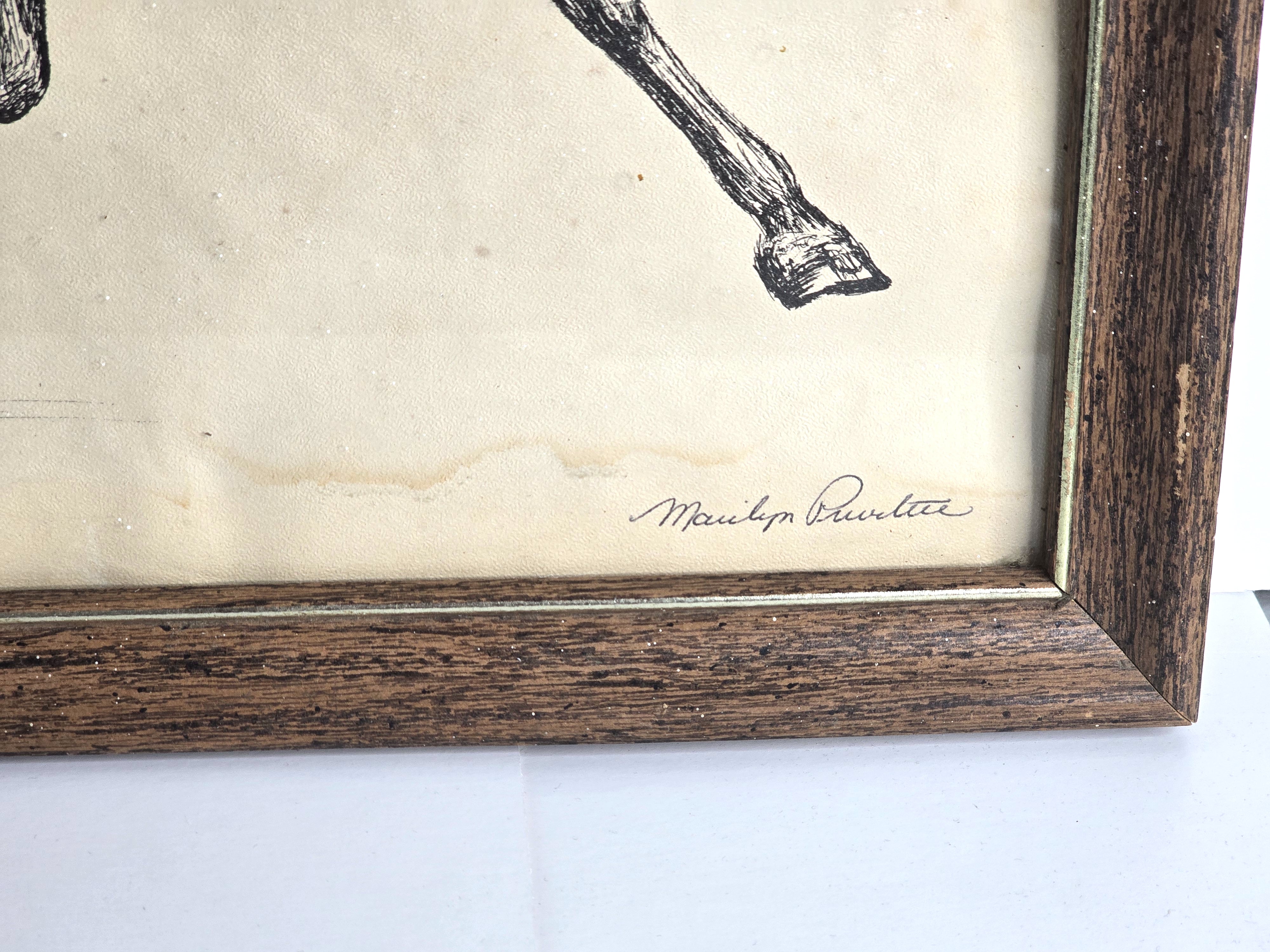 Art Horse Buggy Trotter Sketch Signed by Marilyn Privitere