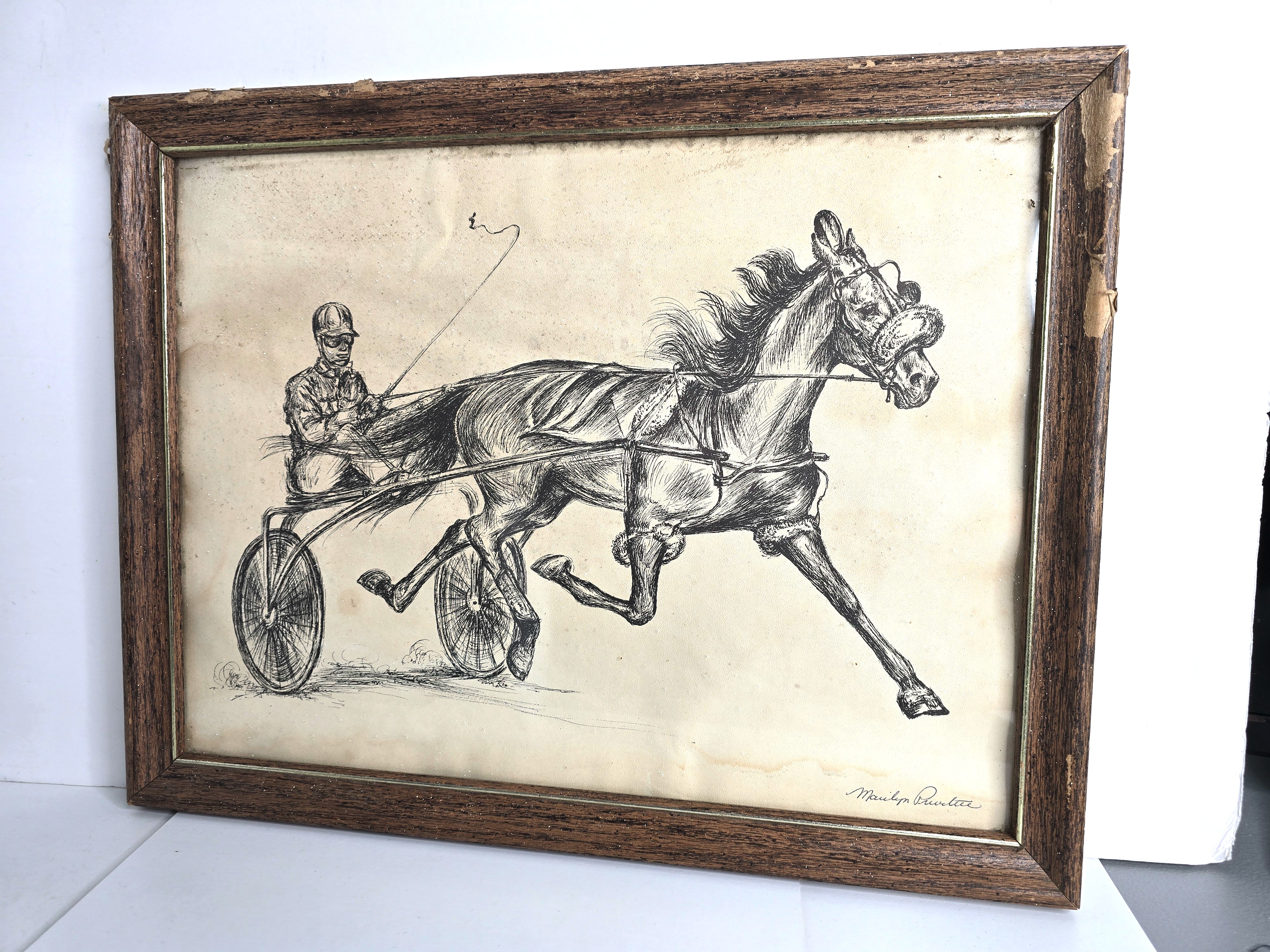 Art Horse Buggy Trotter Sketch Signed by Marilyn Privitere