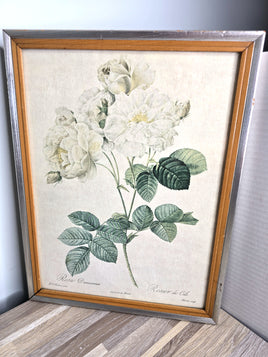 Pierre Joseph Redoute Art Damascene Rose - Very Rare Print