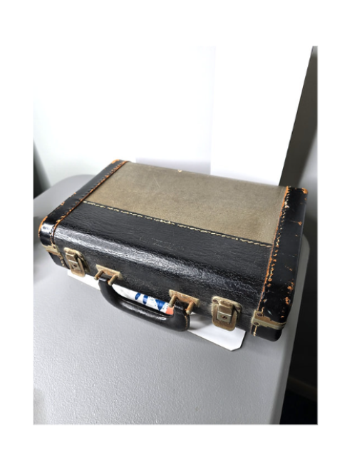 Clarinet Selmer HS Le Sommet Handcrafted French