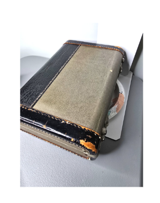 Clarinet Selmer HS Le Sommet Handcrafted French