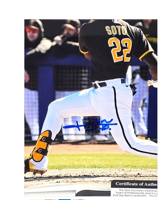 Juan Soto Signed Autograph Baseball Photo