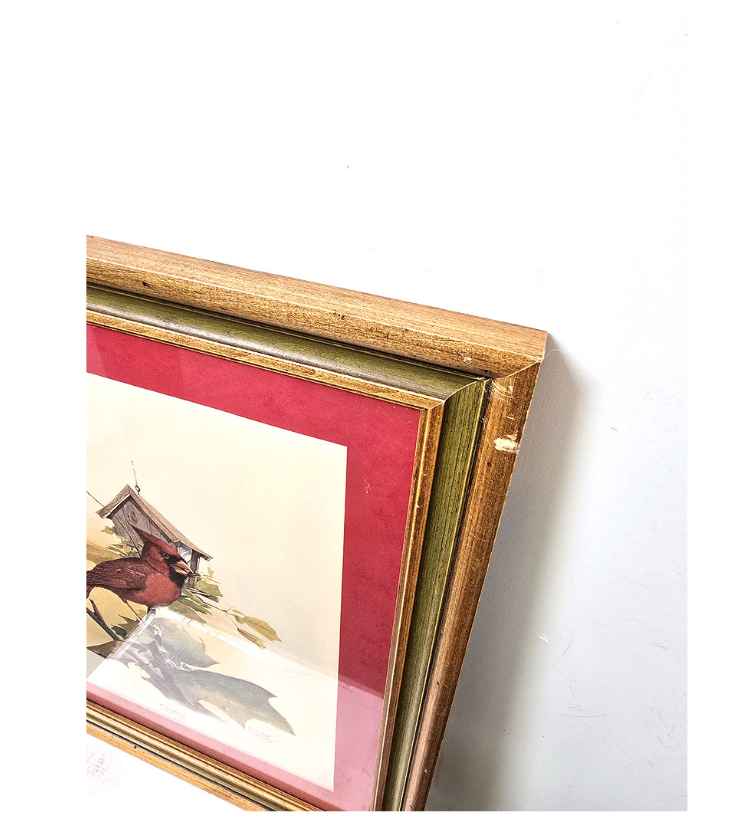 R J McDonald Red Cardinal Bird Signed Print Matted Framed