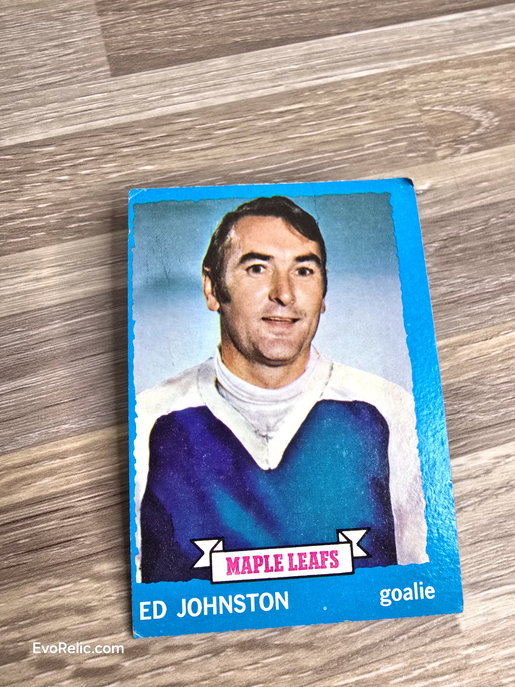 Topps Hockey Card 1973 Ed Johnston Maple Leafs No 23