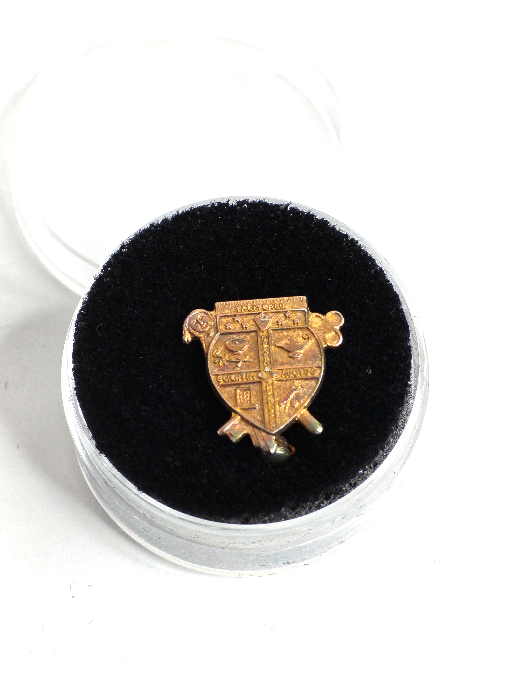 Vintage Coat of Arms Lapel Pin