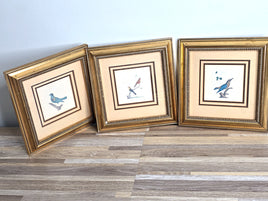 Vintage Wall Art Birds Framed Home Decor