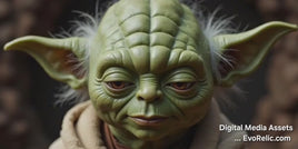 Yoda in Translation